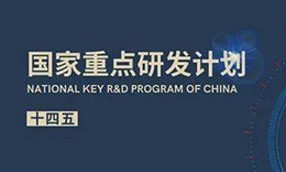 疾病類器官模型被列為“十四五”首批重點(diǎn)專項(xiàng)